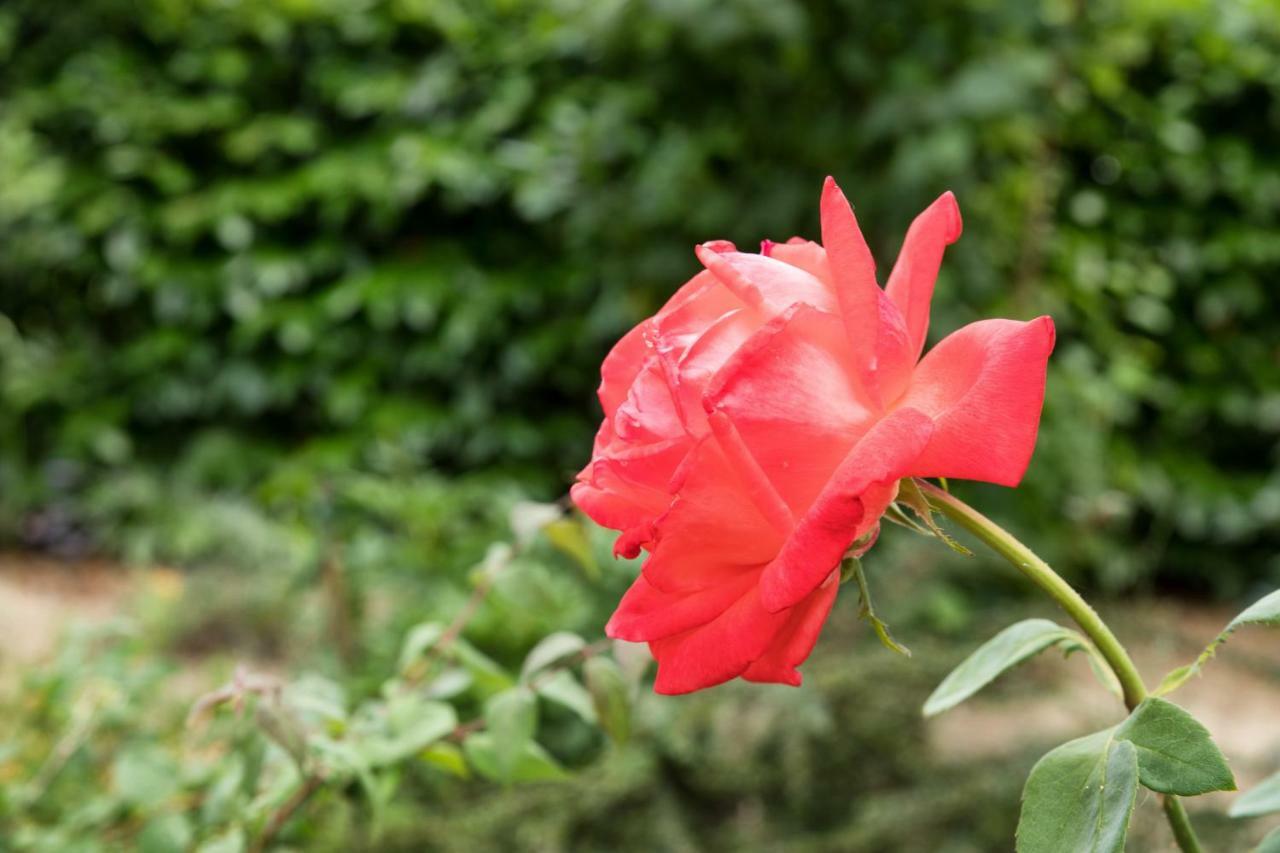 فينْتْسا Dolce Casetta المظهر الخارجي الصورة